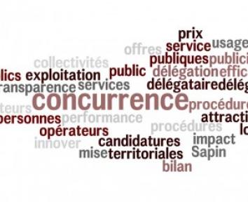 DSP : la régularisation du dossier de candidature est admise