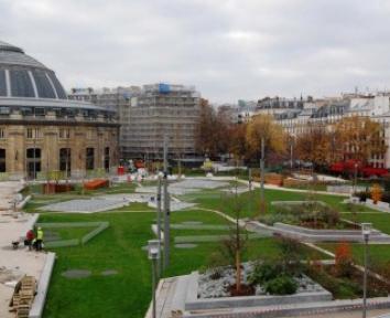 Une prairie émerge du chantier des Halles