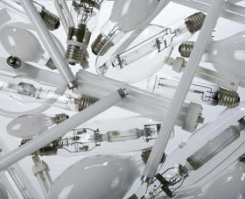 Lampes basse consommation : quels critères pour les identifier ?
